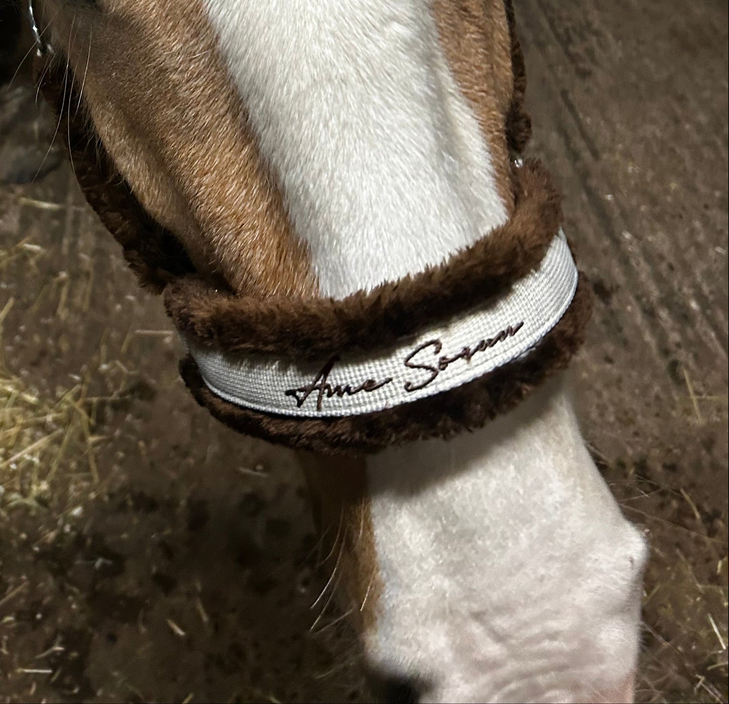 White Mocha Contrast Headcollar